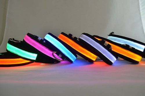 LED Light Up Dog Collar - LAVANDOLED Light Up Dog CollarLED Light Up Dog Collar