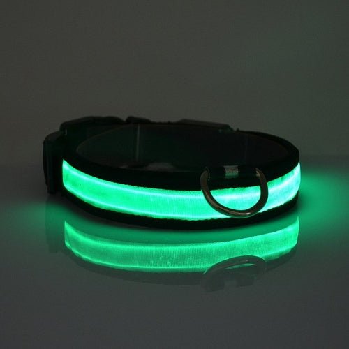 LED Light Up Dog Collar - LAVANDOLED Light Up Dog CollarLED Light Up Dog Collar
