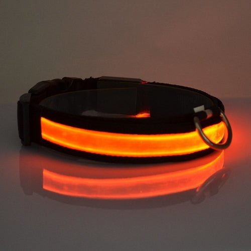 LED Light Up Dog Collar - LAVANDOLED Light Up Dog CollarLED Light Up Dog Collar