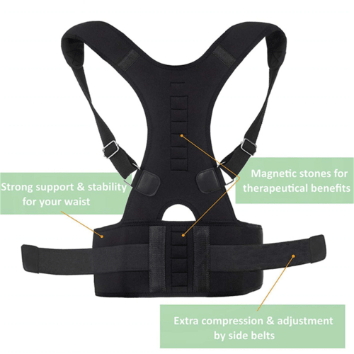 Posture Corrector Support Magnetic Back Shoulder Brace Belt Band For - LAVANDOPosture Corrector Support Magnetic Back Shoulder Brace Belt Band ForPosture Corrector Support Magnetic Back Shoulder Brace Belt Band For