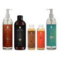 Pursonic Essential Oils & Skin Care Mega Bundle – 100% Pure Golden Jojoba Oil, Rosehip Oil, Sweet Almond Oil, Fractionated Coconut Oil, and Castor Oil - LAVANDOPursonic Essential Oils & Skin Care Mega Bundle – 100% Pure Golden Jojoba Oil, Rosehip Oil, Sweet Almond Oil, Fractionated Coconut Oil, and Castor OilPursonic Essential Oils & Skin Care Mega Bundle – 100% Pure Golden Jojoba Oil, Rosehip Oil, Sweet Almond Oil, Fractionated Coconut Oil, and Castor Oil